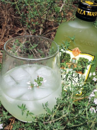 limoncello cocktail