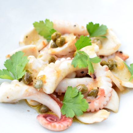 Octopus of zeekat