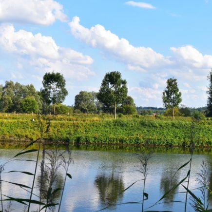 De Vlaamse Ardennen - Wandelen en (culinair) genieten