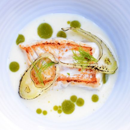 Schelvis - Vinaigrette karnemelk - Postelein - Venkel