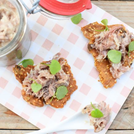 Rillettes van eend - Crackers met pompoenpitten