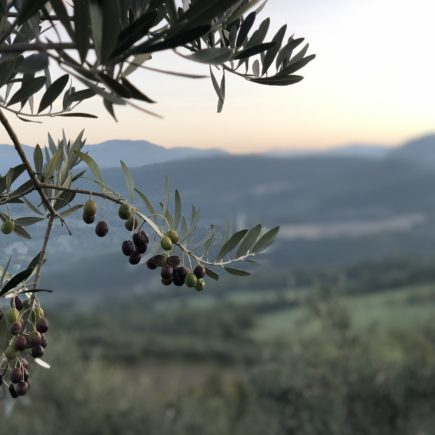 Casa Astrid lanceert ecologische navulling extra vierge olijfolie