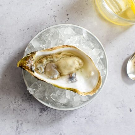 Nationale Oesterdag - Vermout & Oesters