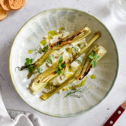 Venkel - Burrata - Zonnebloempit