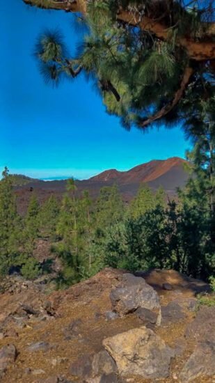 Tenerife - Het eiland van de eeuwige lente