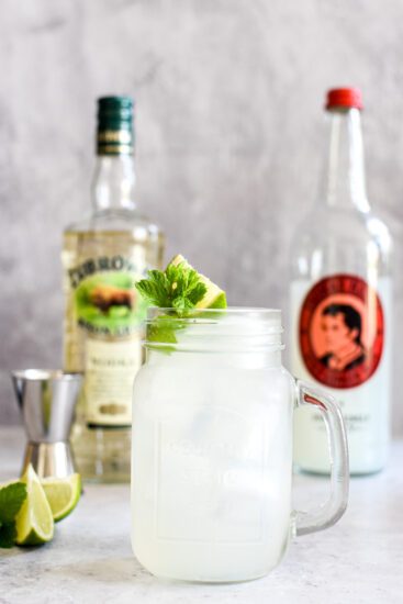 World Vodka Day met Zubrowka Bison Grass