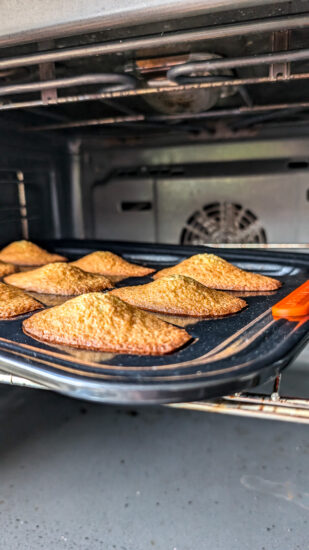 Madeleines - Heerlijk vers gebakken