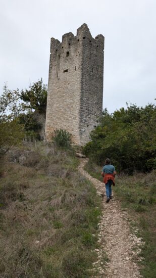 Wijnboeren in Istrië - Kroatië