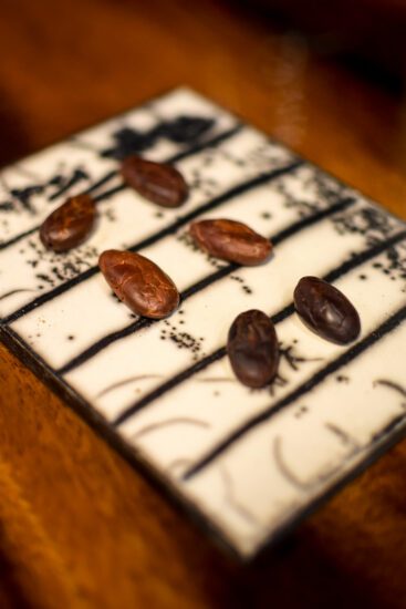Julius Persoone laat cacao spreken in een andere dimensie