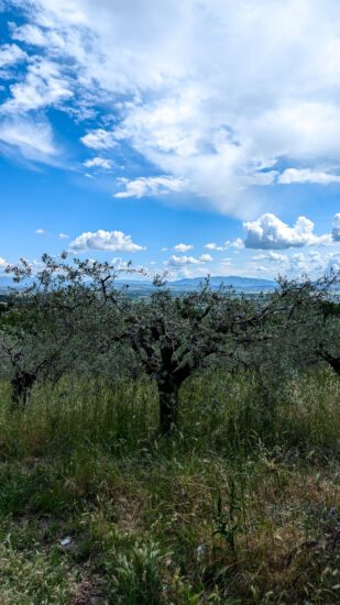 Zo zag onze vakantie in Umbrië eruit