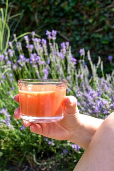 Picknick inspiratie met Tomélon, de watermeloen uit Hoogstraten