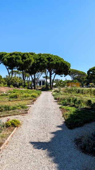 Quinta do Lago: 10x de leukste dingen om te doen