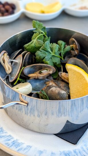 Quinta do Lago: 10x de leukste dingen om te doen