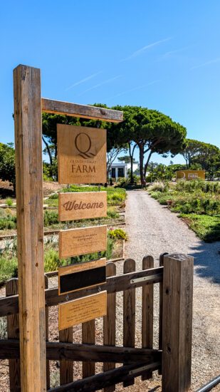 Quinta do Lago: 10x de leukste dingen om te doen