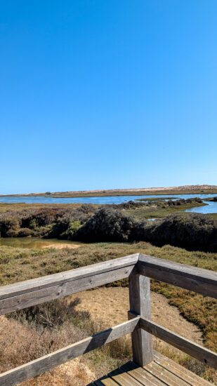 Quinta do Lago: 10x de leukste dingen om te doen