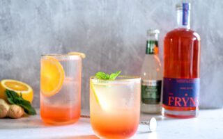 Mocktails met Fryns Orange Bitter 0%: 2x alcoholvrij genieten